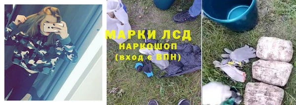 амф Алзамай