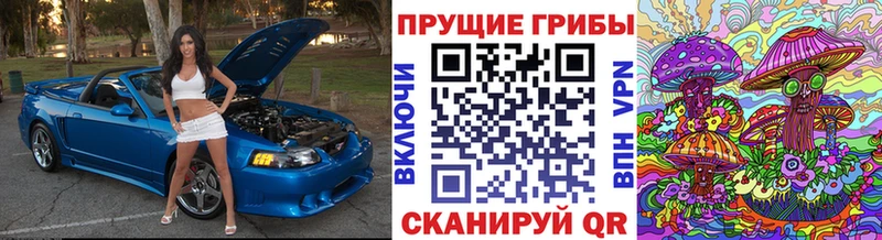 купить наркоту  Сосновка  hydra tor  Псилоцибиновые грибы GOLDEN TEACHER 
