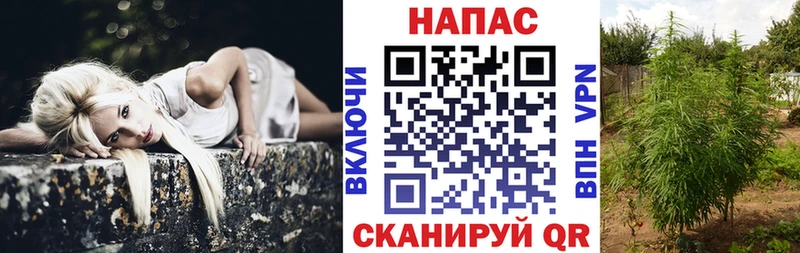 Марихуана семена Сосновка