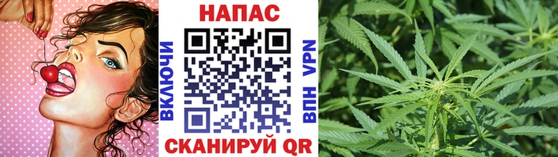 МАРИХУАНА сатива  дарнет шоп  Сосновка 
